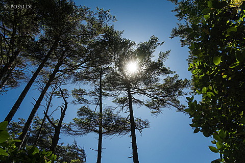 180714-0125.jpg