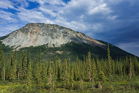180723-0714.jpg