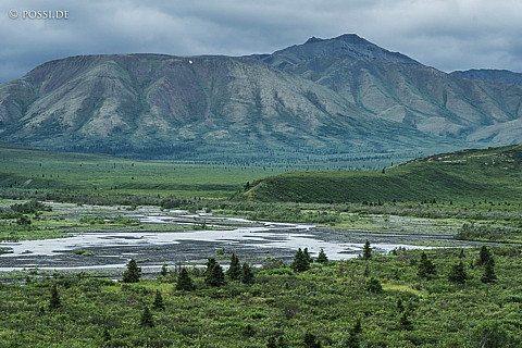 180726-1020.jpg
