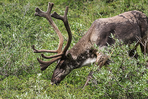 180726-1314.jpg
