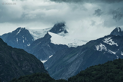 180731-3425.jpg