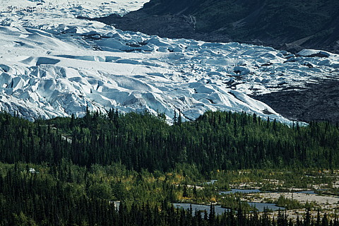 180801-3676.jpg
