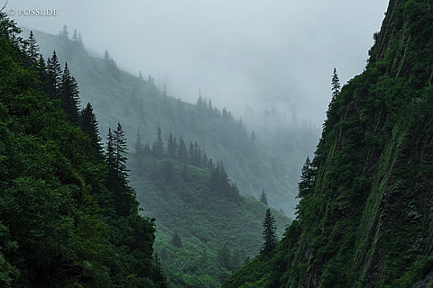 180802-3774.jpg
