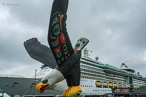 180808-4679.jpg