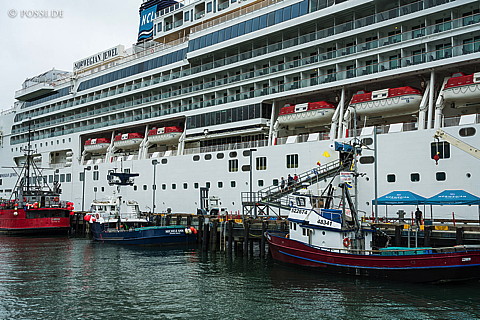 180808-4683.jpg