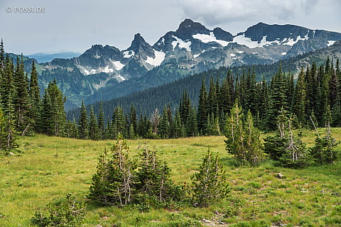 180812-5047.jpg