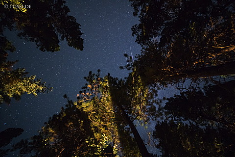 180812-5067.jpg