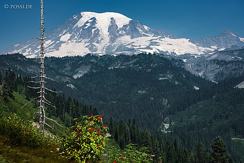 180813-5194.jpg