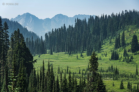 180813-5274.jpg