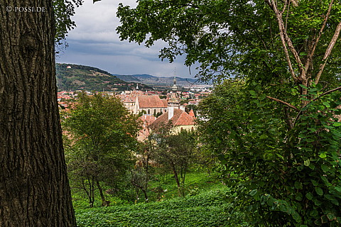 160925-5503.jpg