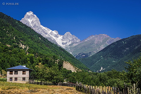 150810-6724.jpg