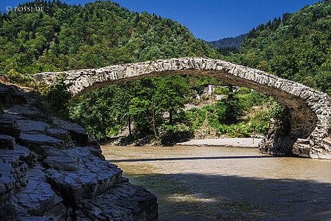 150811-6748.jpg