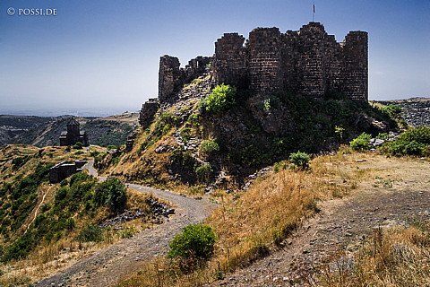 150813-6848.jpg