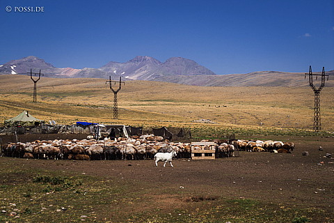 150813-6858.jpg