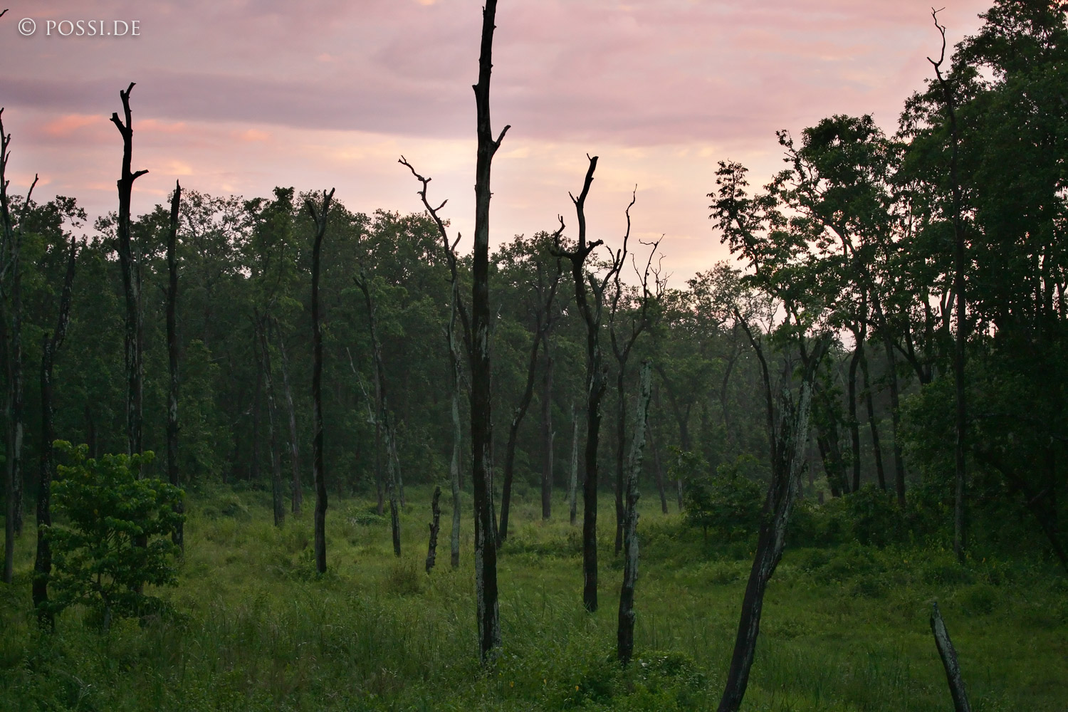 050921-6010.jpg