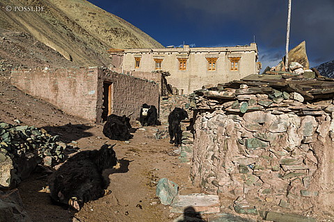 150214-1695.jpg