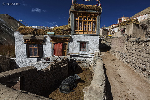 150214-1895.jpg