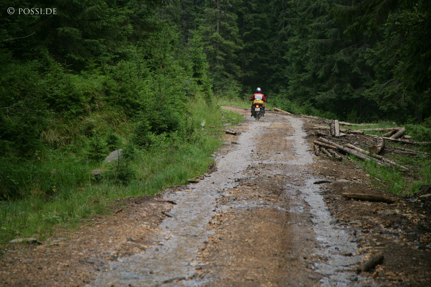060821-5599.jpg