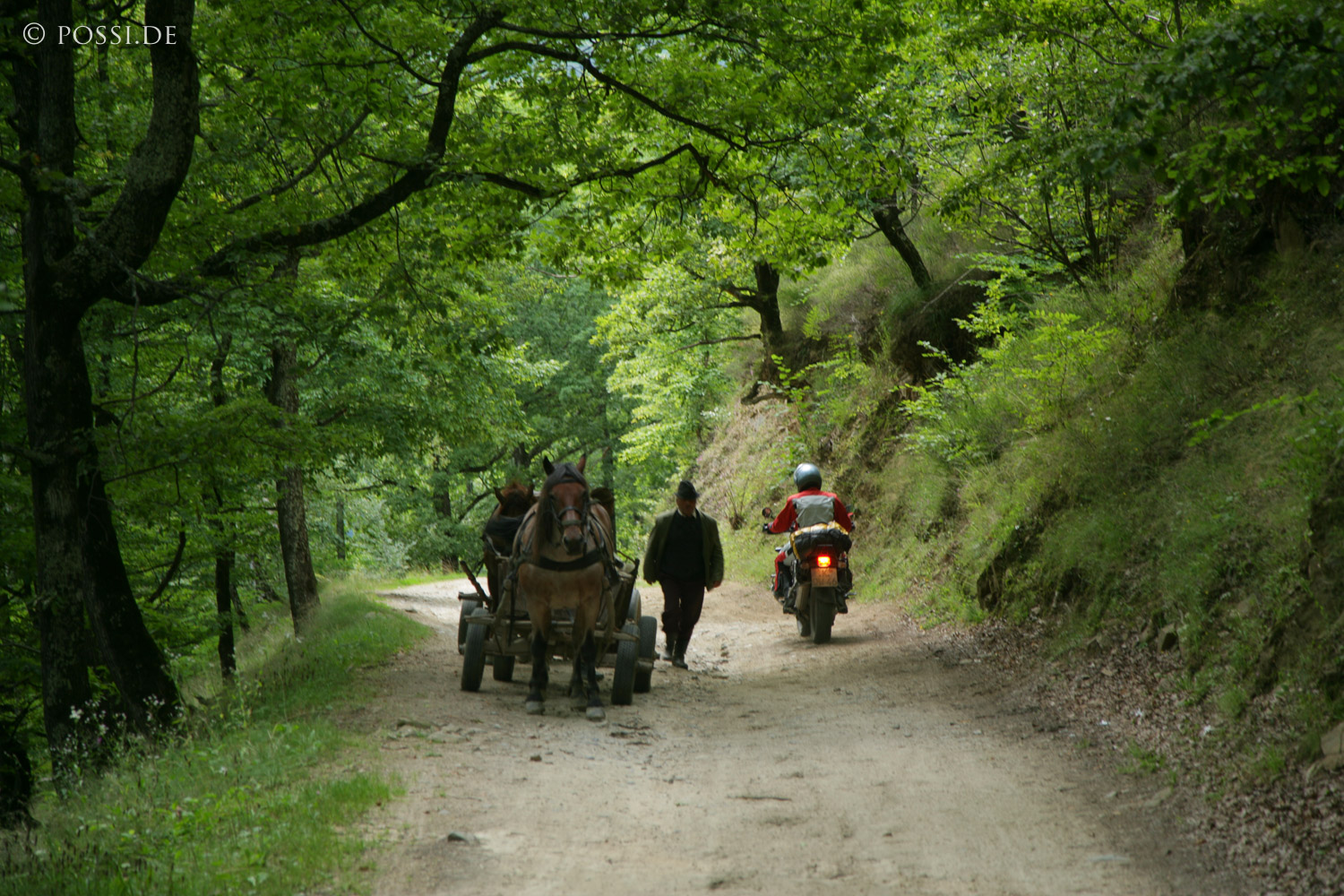 060823-5778.jpg