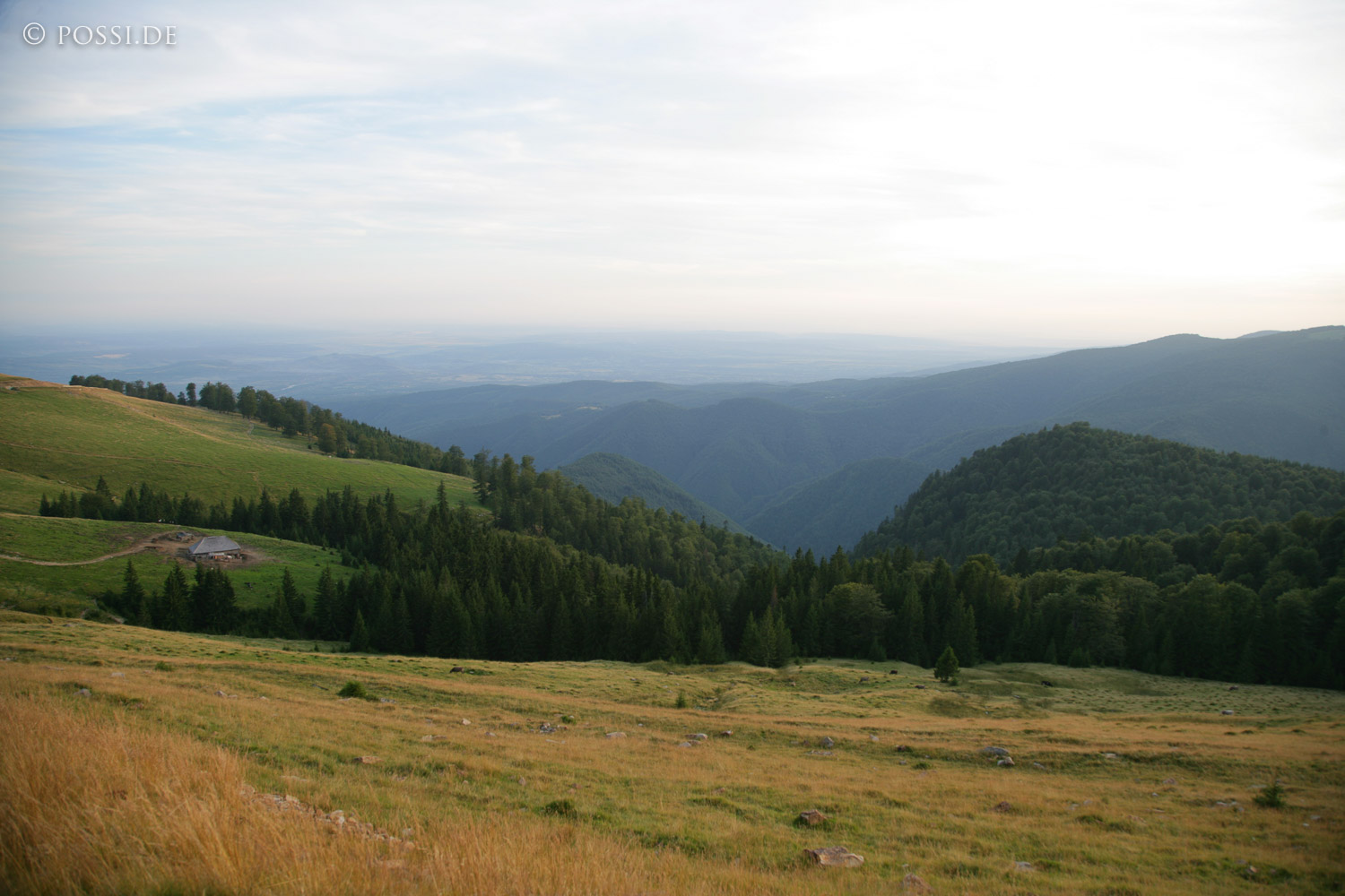 060824-5838.jpg