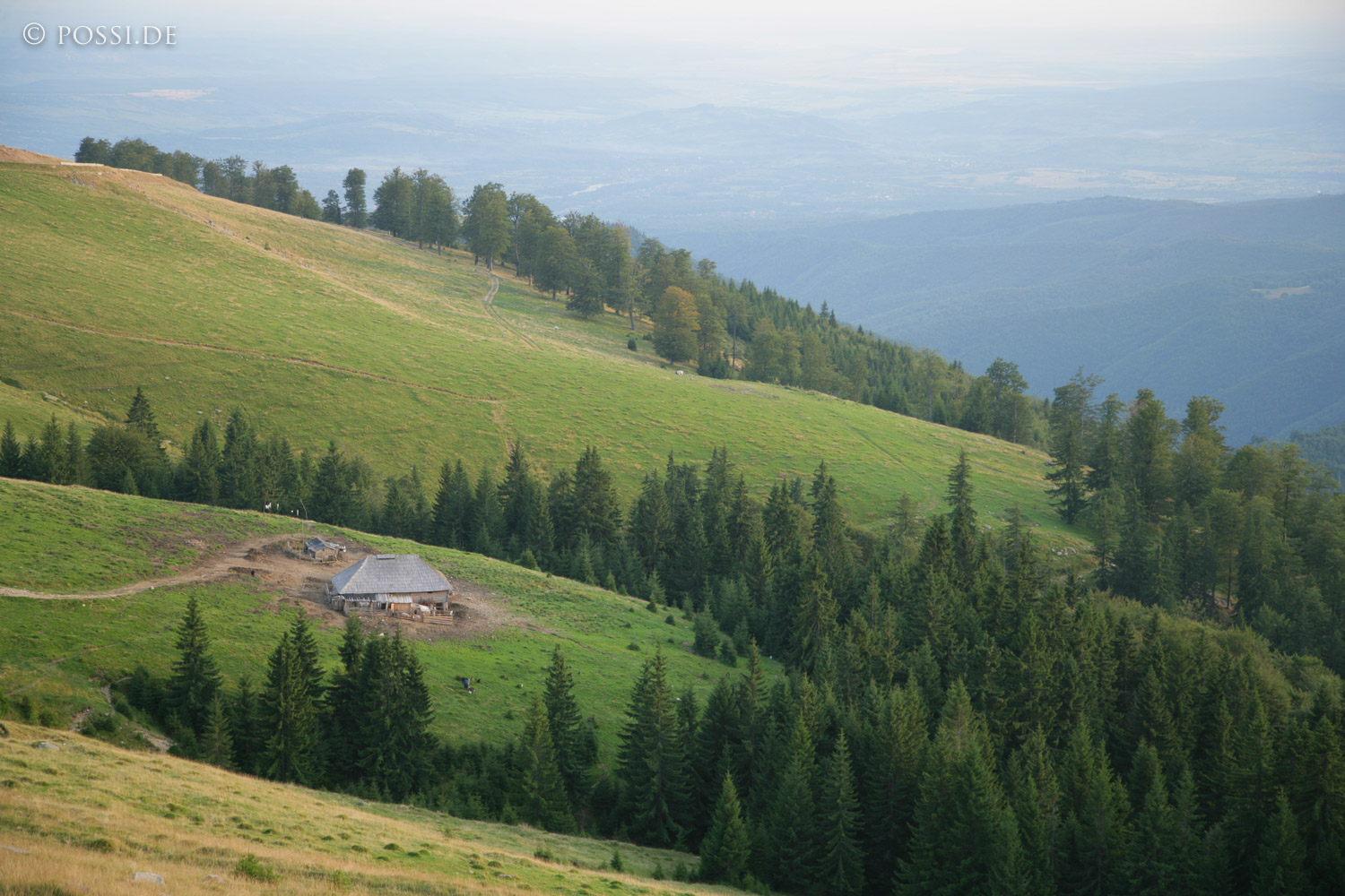060824-5839.jpg