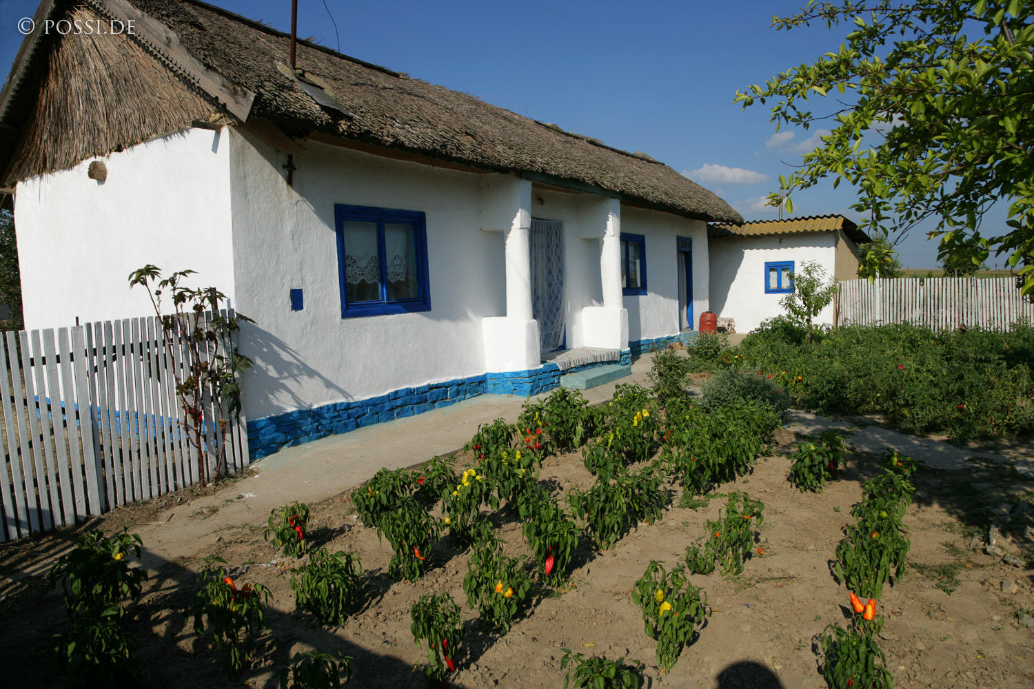 060827-6081.jpg