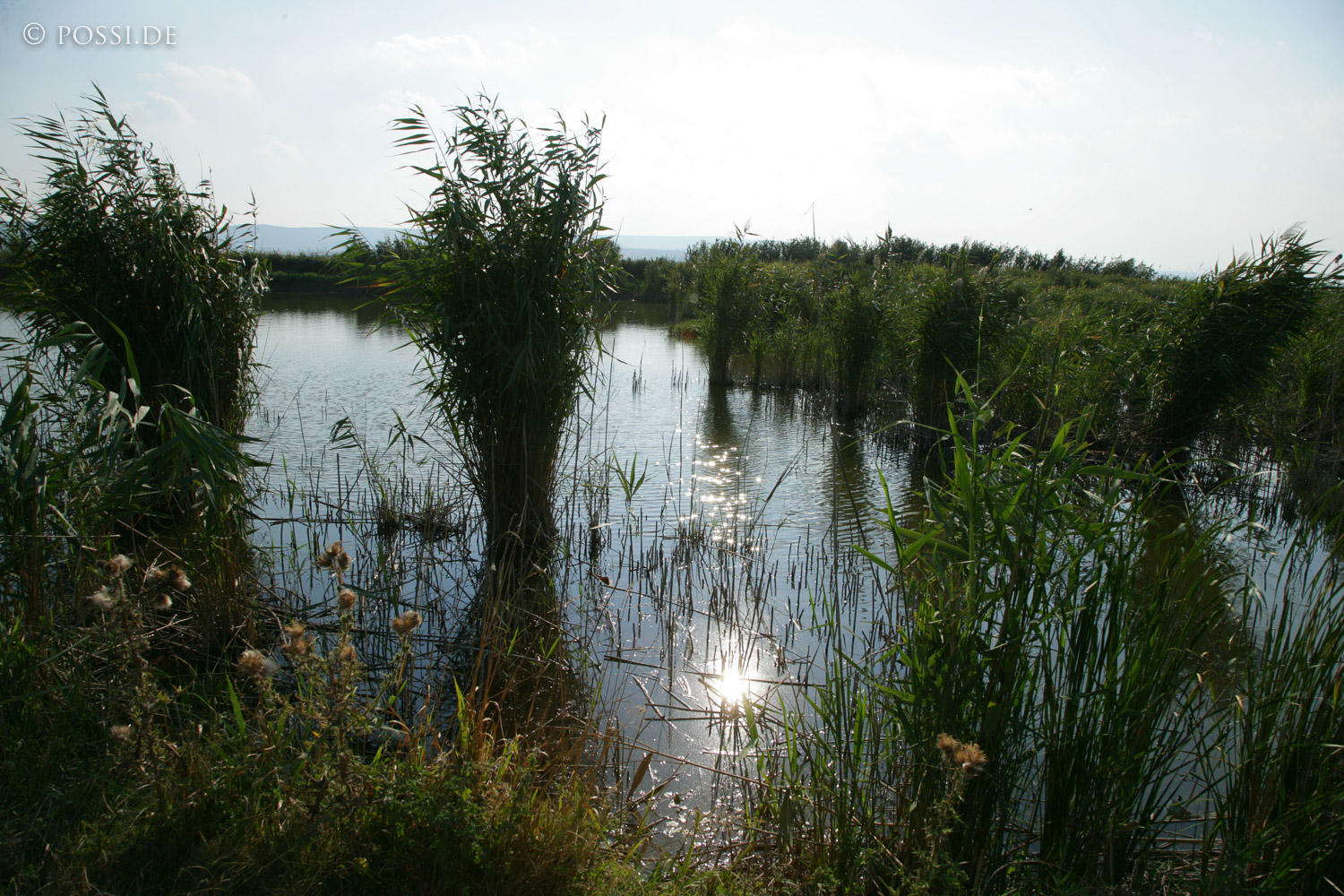 060827-6090.jpg