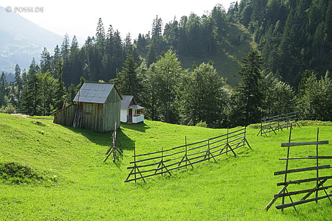 060820-5528.jpg
