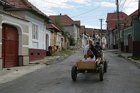 060823-5772.jpg