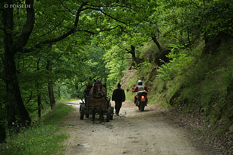 060823-5778.jpg