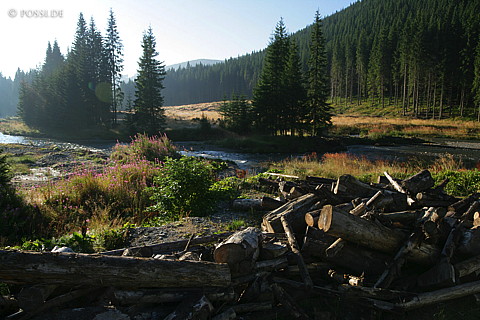 060824-5818.jpg