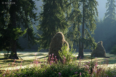 060824-5819.jpg