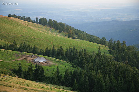 060824-5839.jpg