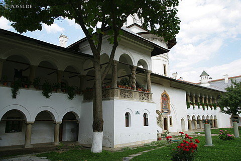 060825-5851.jpg