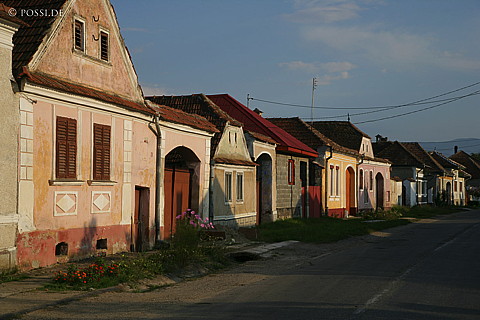 060825-5941.jpg