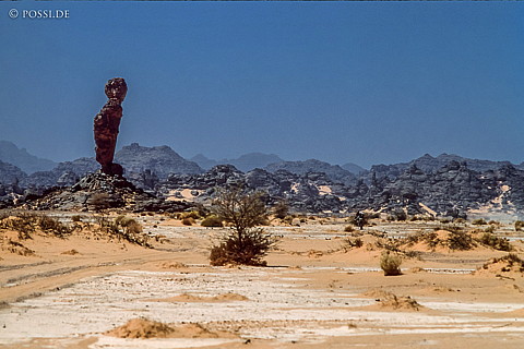 080313-0091.jpg