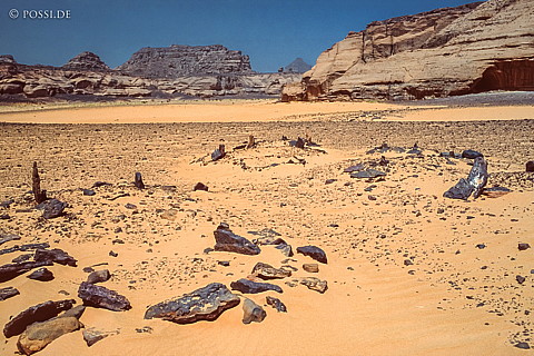080709-0156.jpg