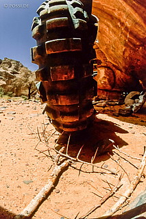 080709-0157.jpg