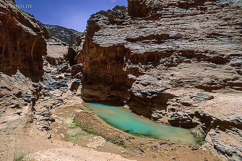 080709-0159.jpg