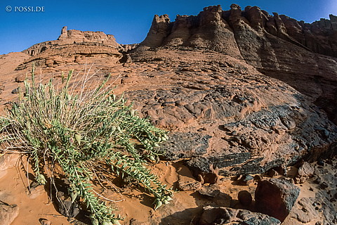080709-0163.jpg