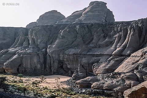080709-0165.jpg