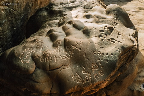 080709-0177.jpg