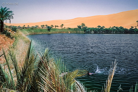 080709-0194.jpg