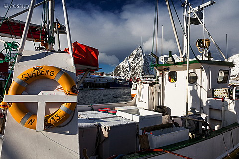 120302-8858.jpg