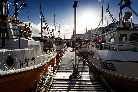 120302-8861.jpg