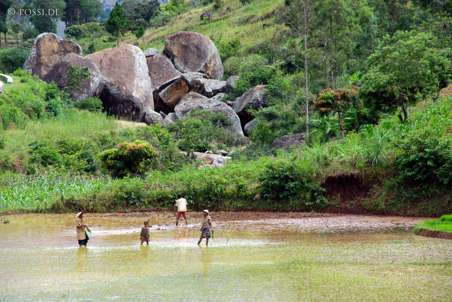 041227-0999.jpg