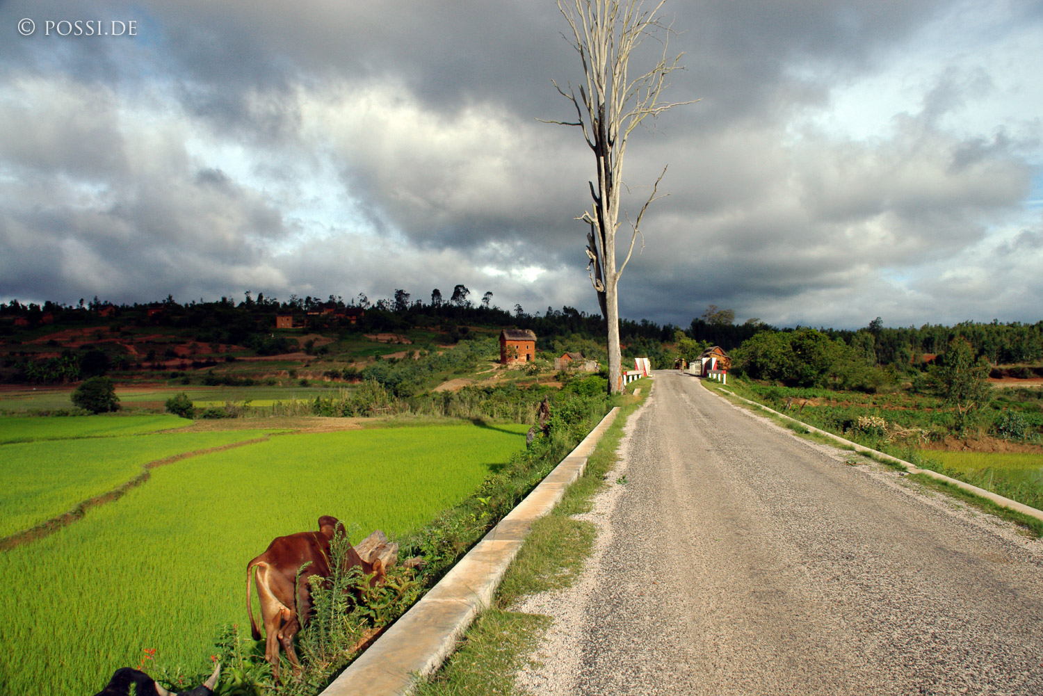 041227-1024.jpg