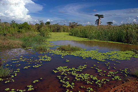041222-0626.jpg