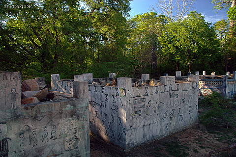 041222-0690.jpg