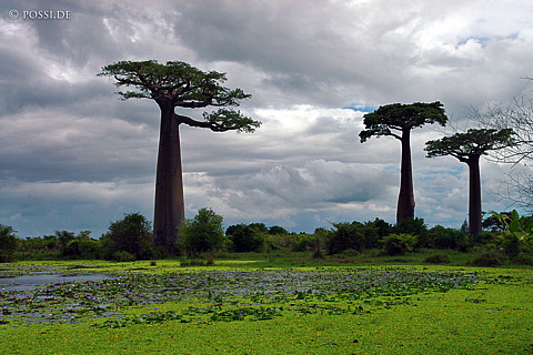 041223-0737.jpg
